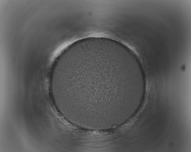 X0000116771311200912241155