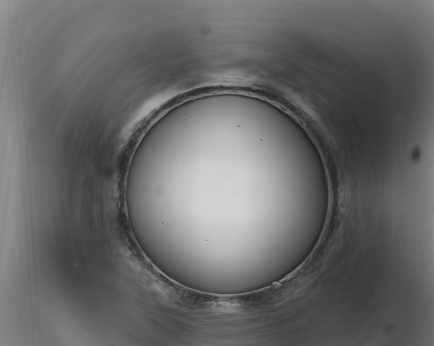 X0000116771315200912241155