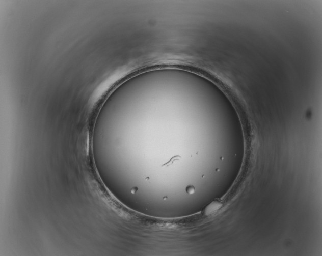 X0000116771317200912241155