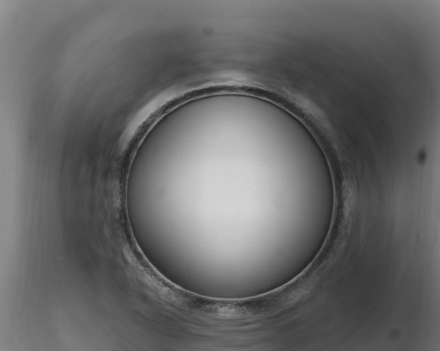 X0000116771318200912241155