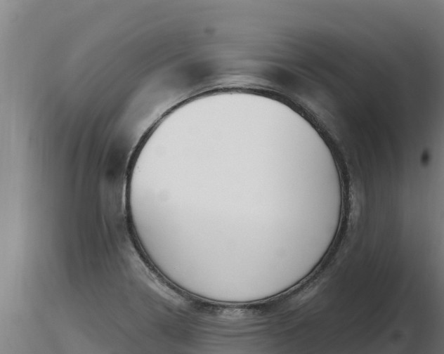 X0000116771322200912241155