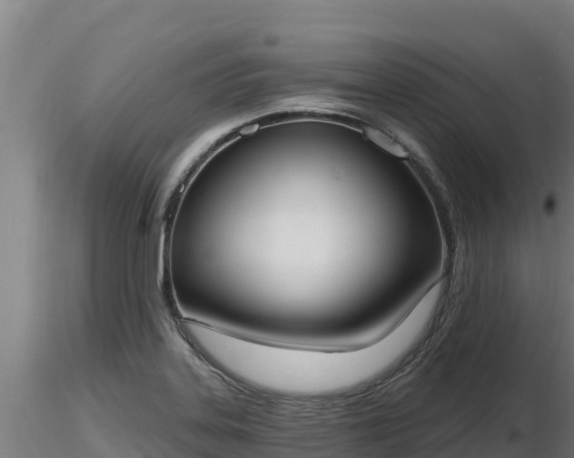 X0000116771323200912241155