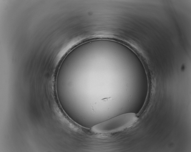 X0000116771325200912241155