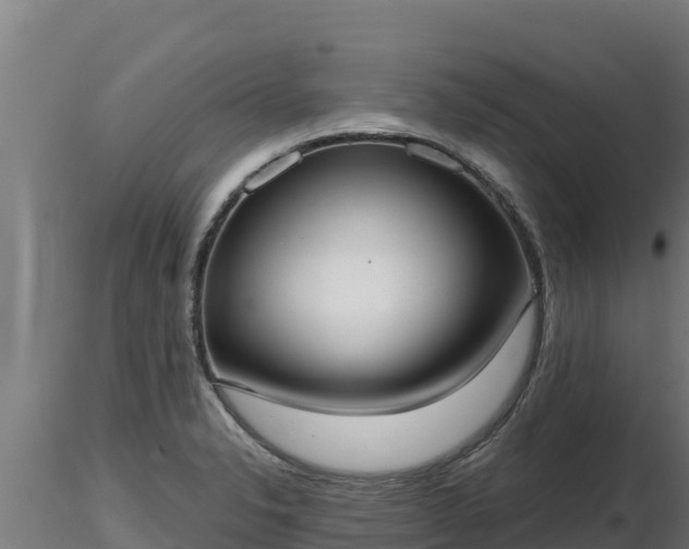 X0000116771326200912241155