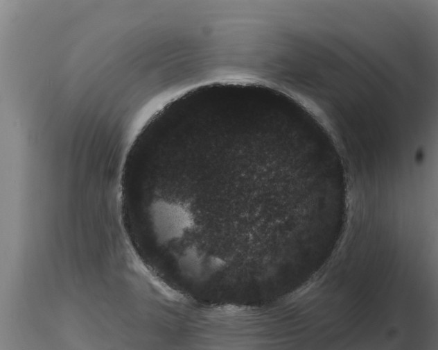 X0000116771327200912241155