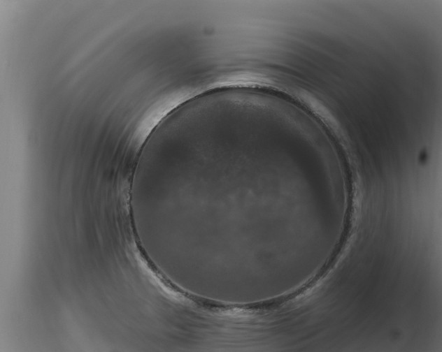 X0000116771329200912241155