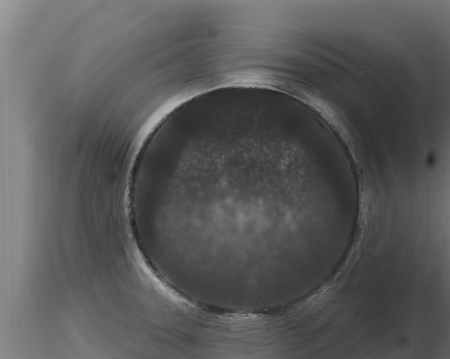X0000116771331200912241155