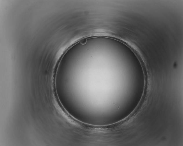 X0000116771333200912241155