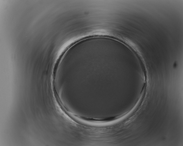 X0000116771334200912241155