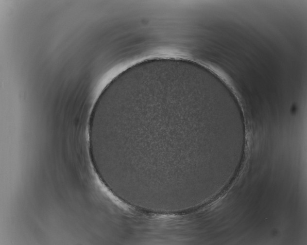 X0000116771335200912241155