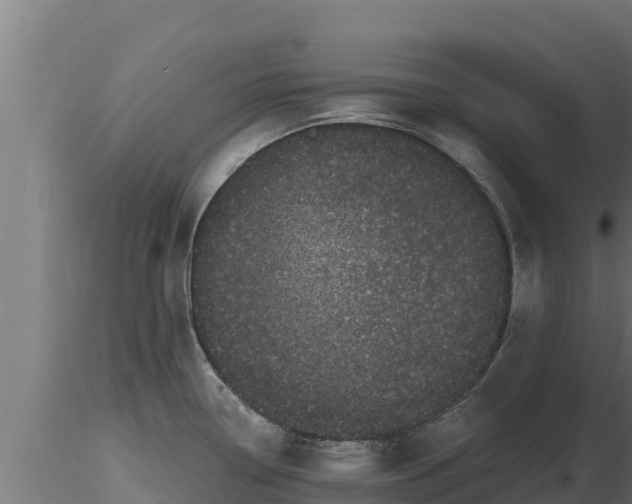 X0000116771338200912241155