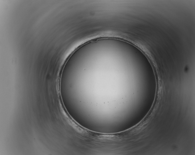 X0000116771342200912241155
