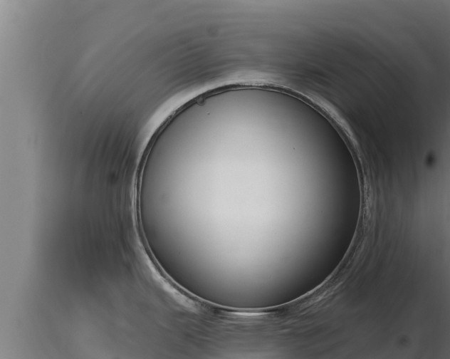 X0000116771343200912241155