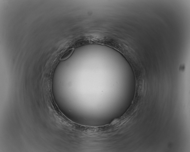 X0000116771345200912241155