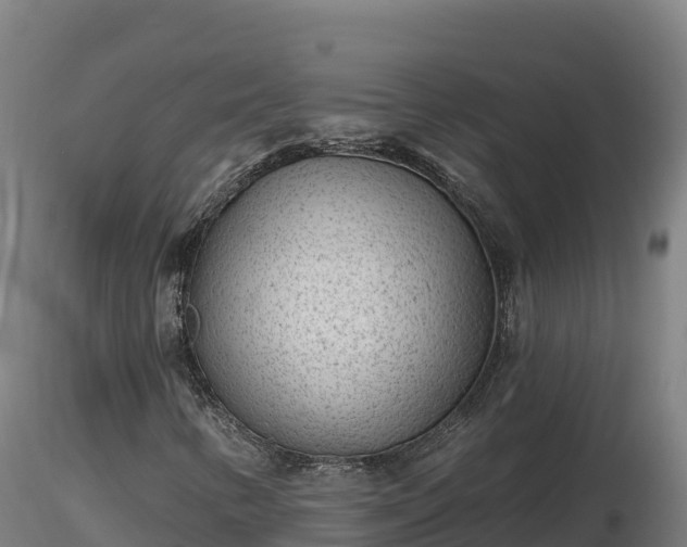X0000116771346200912241155