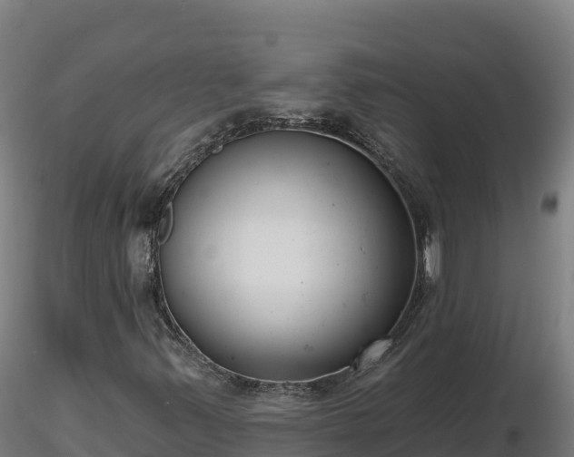 X0000116771347200912241155