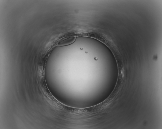 X0000116771348200912241155