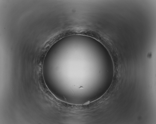 X0000116771349200912241155