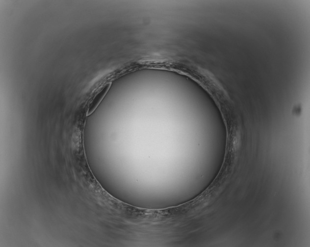 X0000116771350200912241155