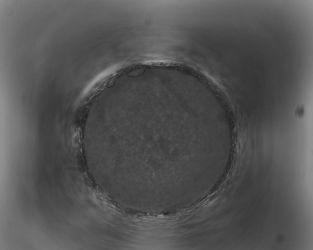 X0000116771351200912241155