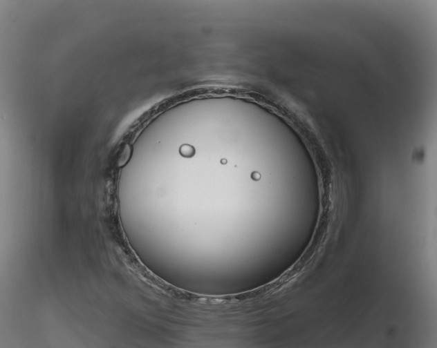 X0000116771352200912241155