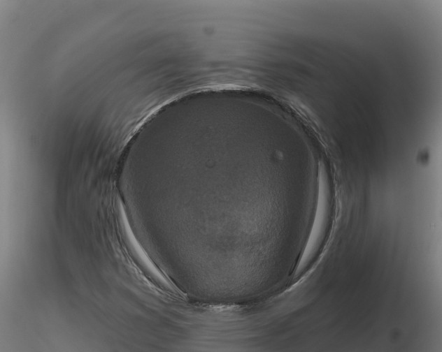 X0000116771353200912241155