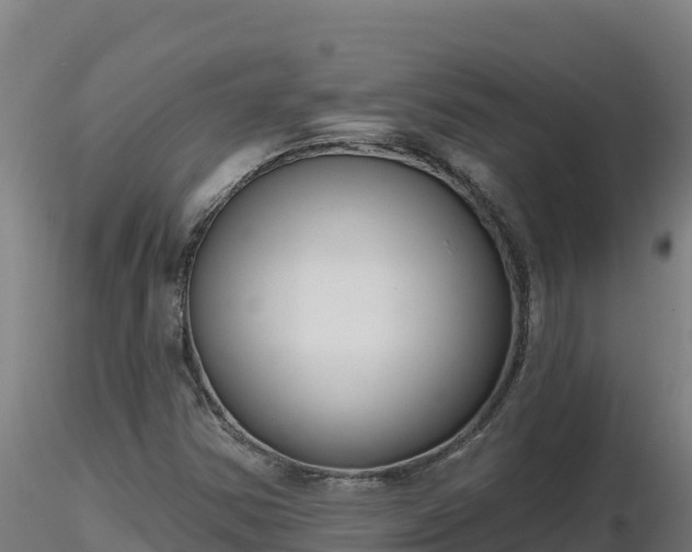 X0000116771354200912241155