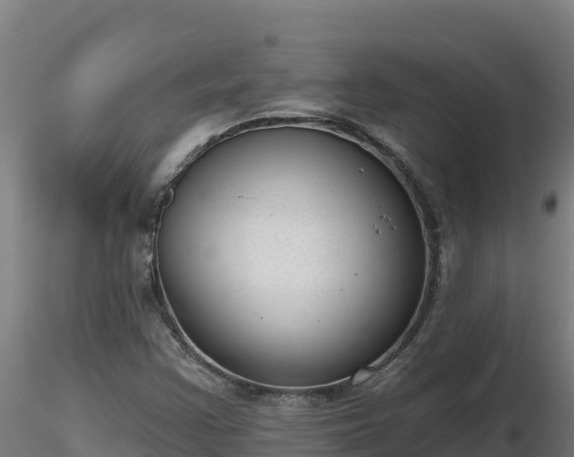 X0000116771355200912241155