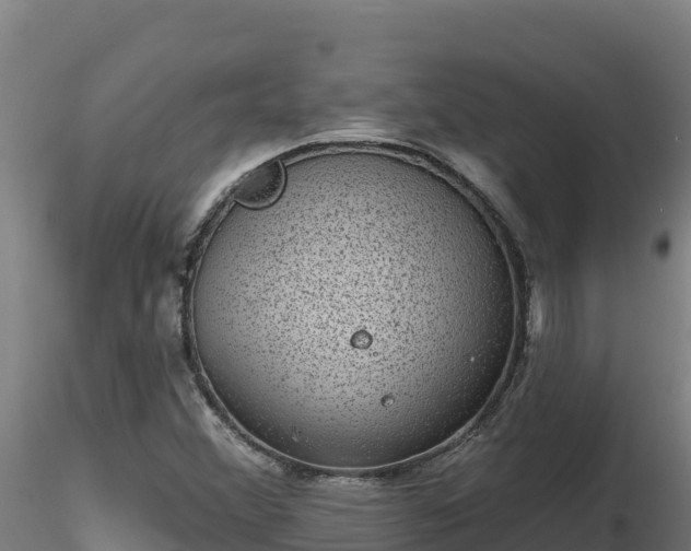 X0000116771356200912241155