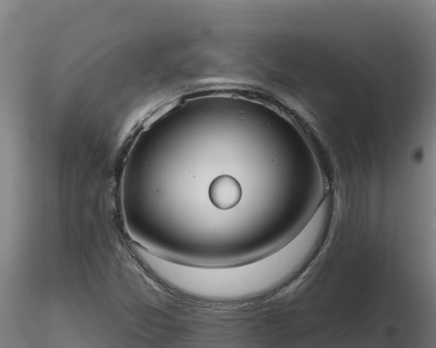 X0000116771357200912241155