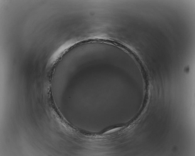 X0000116771359200912241155