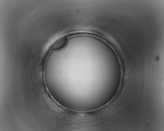 X0000116771360200912241155