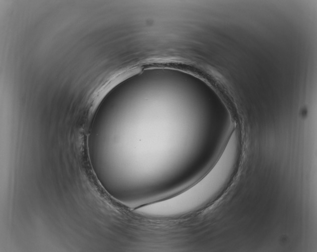 X0000116771361200912241154