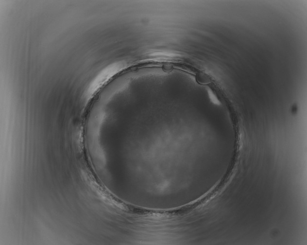 X0000116771362200912241154