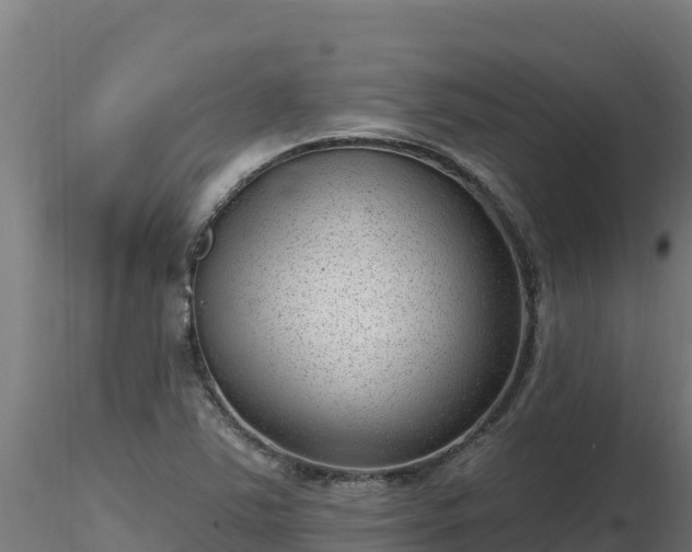 X0000116771363200912241154