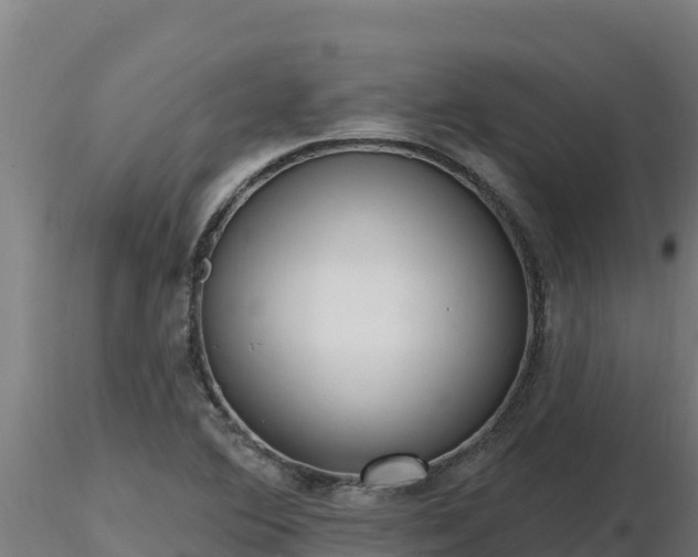 X0000116771364200912241154