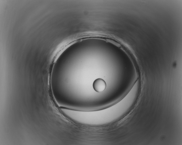 X0000116771365200912241154