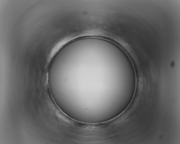 X0000116771366200912241154