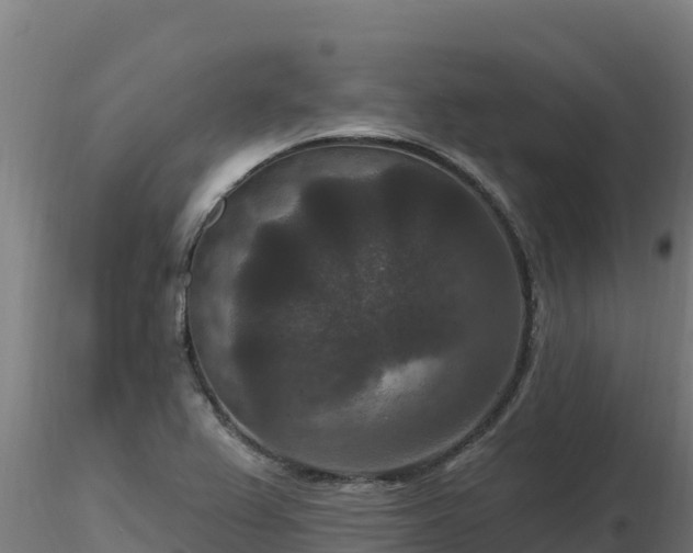 X0000116771367200912241154