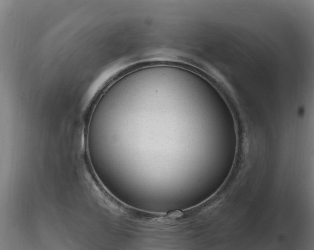 X0000116771368200912241154
