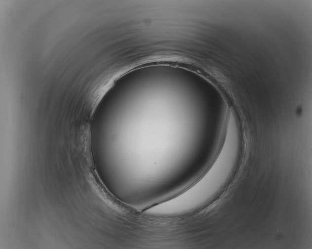 X0000116771369200912241154