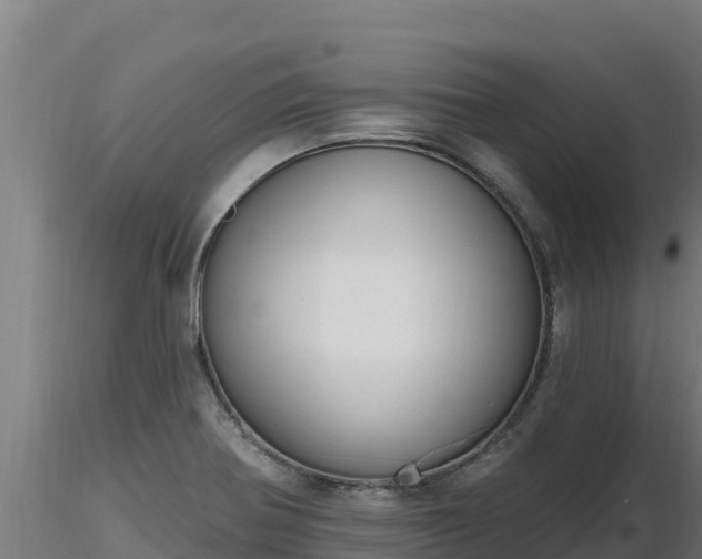 X0000116771370200912241154