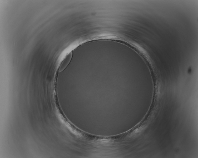 X0000116771373200912241154