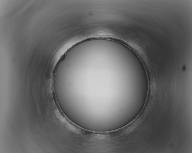 X0000116771374200912241154