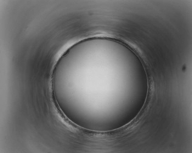 X0000116771375200912241154