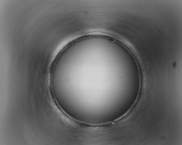 X0000116771376200912241154