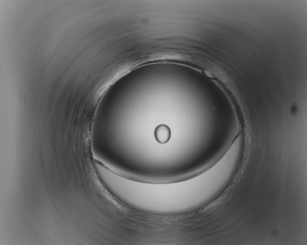 X0000116771377200912241154