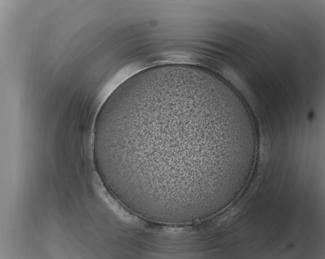 X0000116771378200912241154