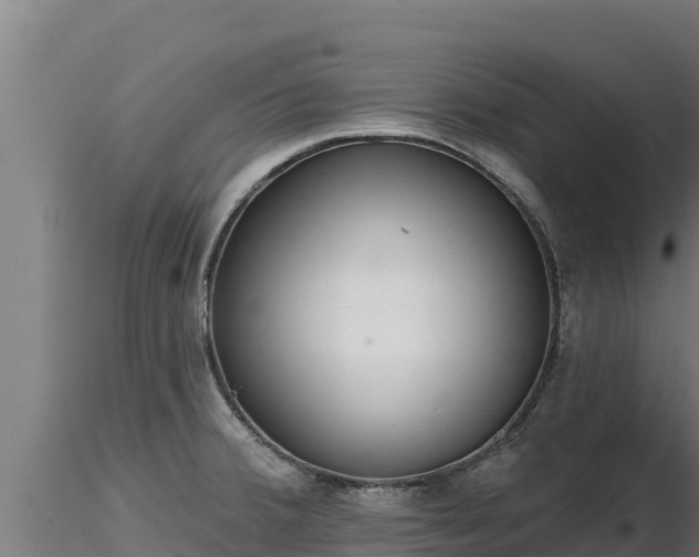 X0000116771380200912241154