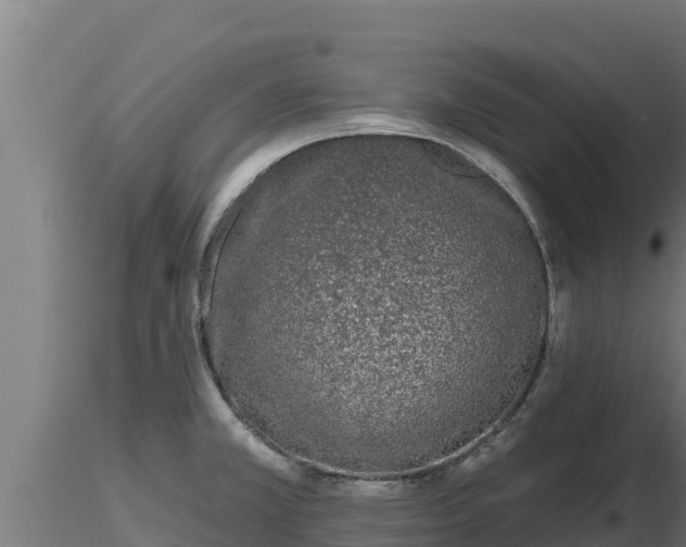X0000116771381200912241154